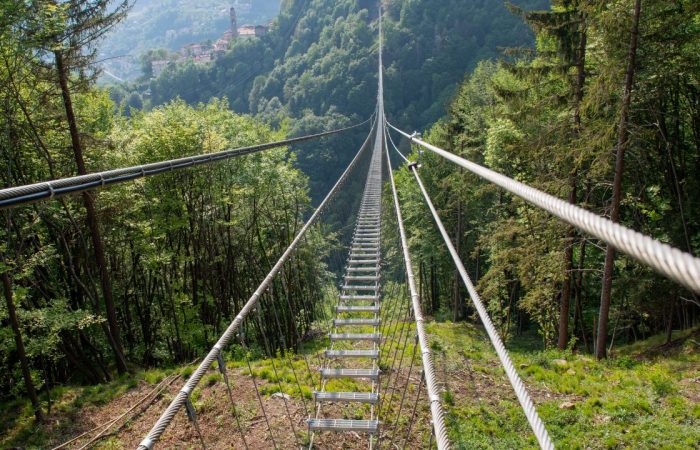 "Foto del Ponte Tibetano Laviano: scopri cosa fare nel Cilento leggendo l'articolo"