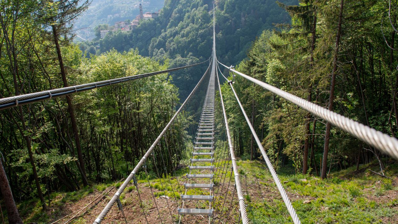 "Foto del Ponte Tibetano Laviano: scopri cosa fare nel Cilento leggendo l'articolo"