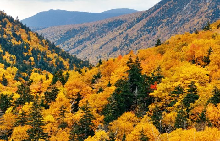 "Le montagne del Cilento in autunno si tingono di rosso e arancione"