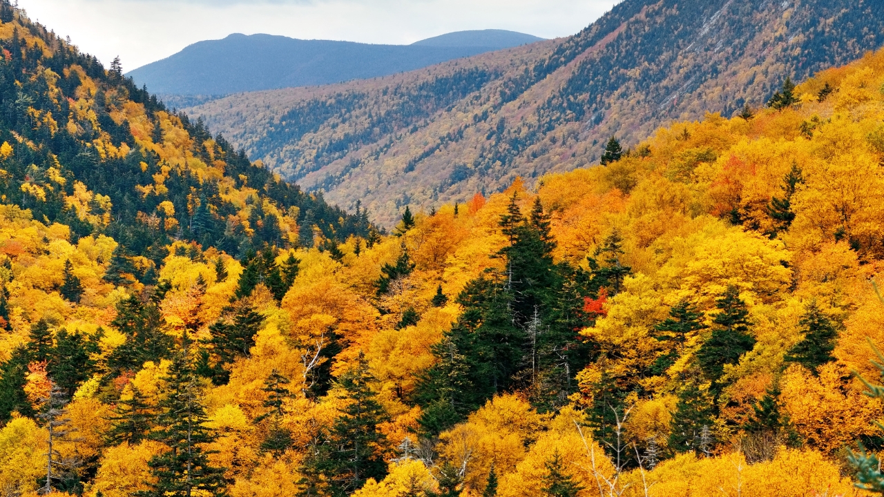 "Le montagne del Cilento in autunno si tingono di rosso e arancione"