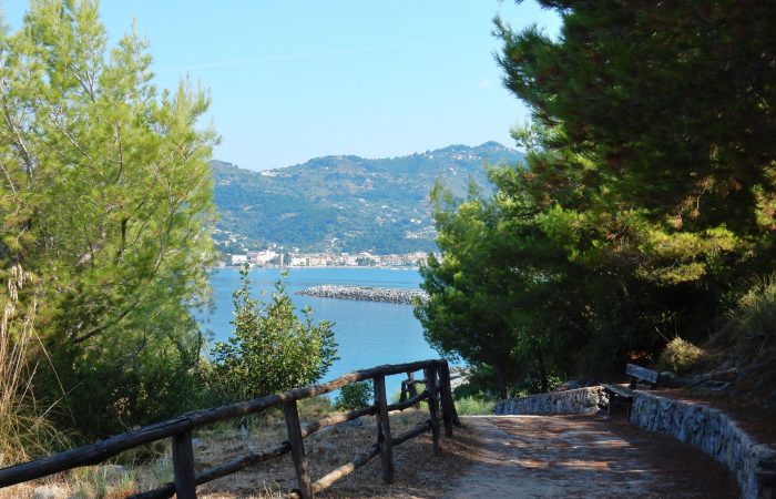 "Sentiero Apprezzami l’asino in Cilento: scorcio sul porto di Sapri"