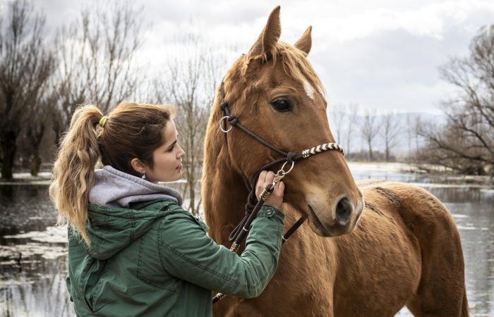 "Passeggiata a cavallo sul fiume Bussento a Policastro Bussentino, in Cilento"