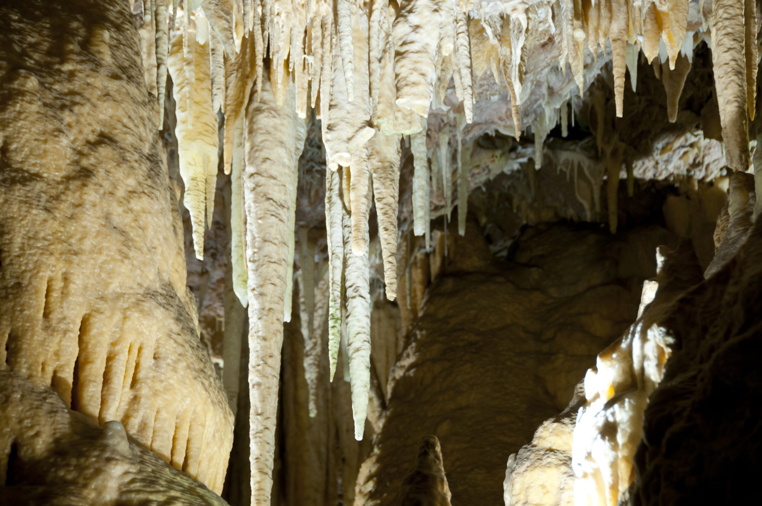 Grotta delle meraviglie di Marina di Maratea