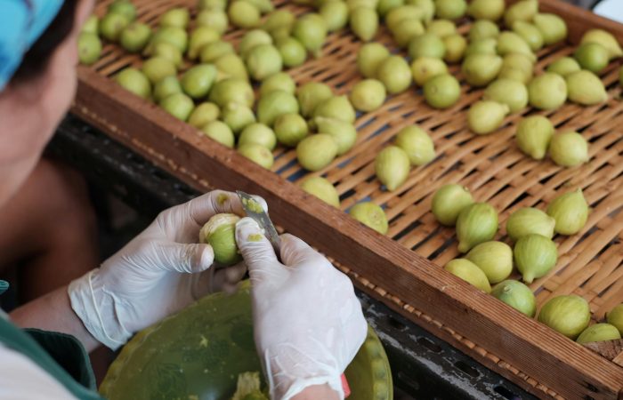 Sagre in Cilento di settembre 2025