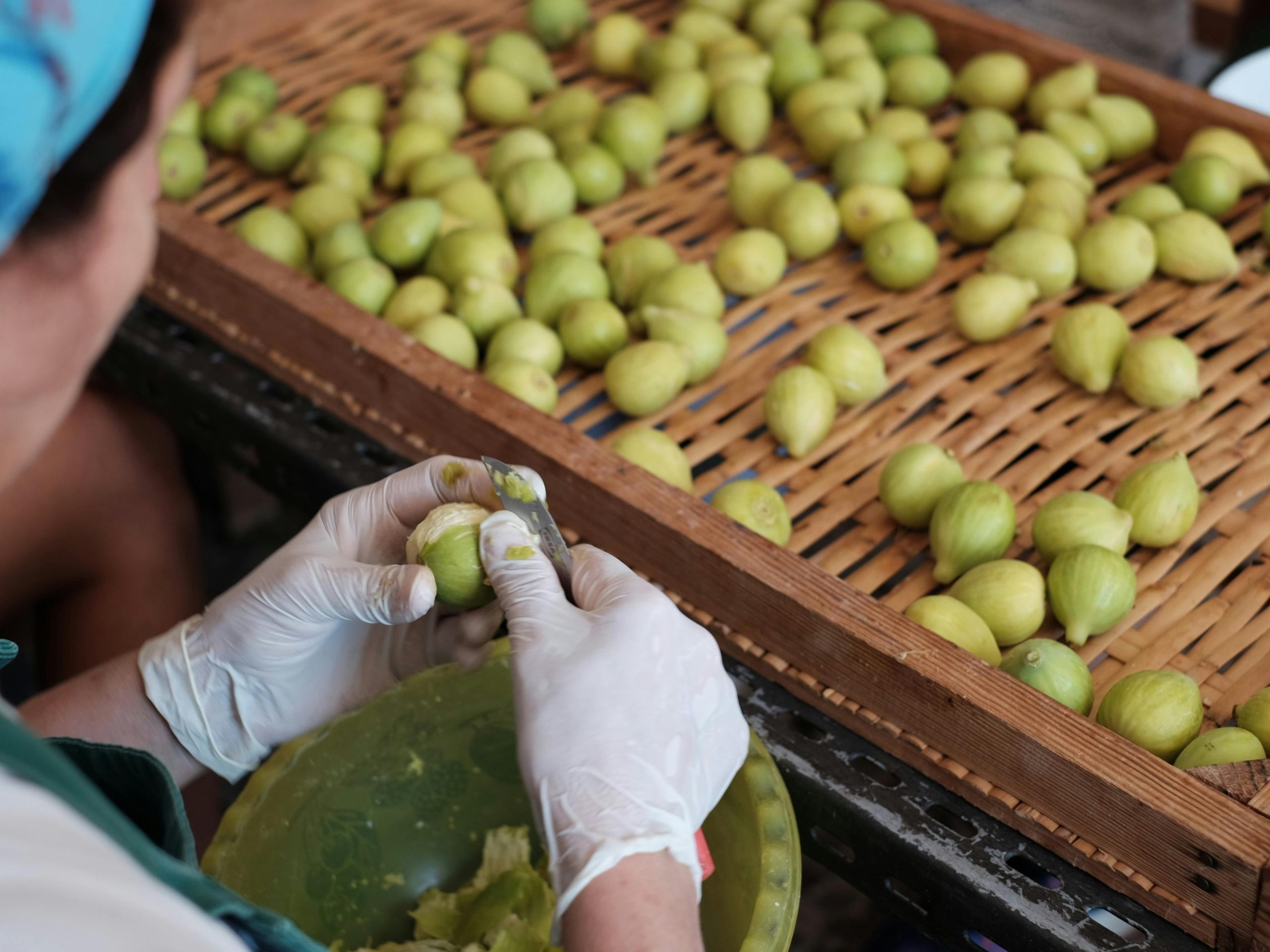 Sagre in Cilento di settembre 2025
